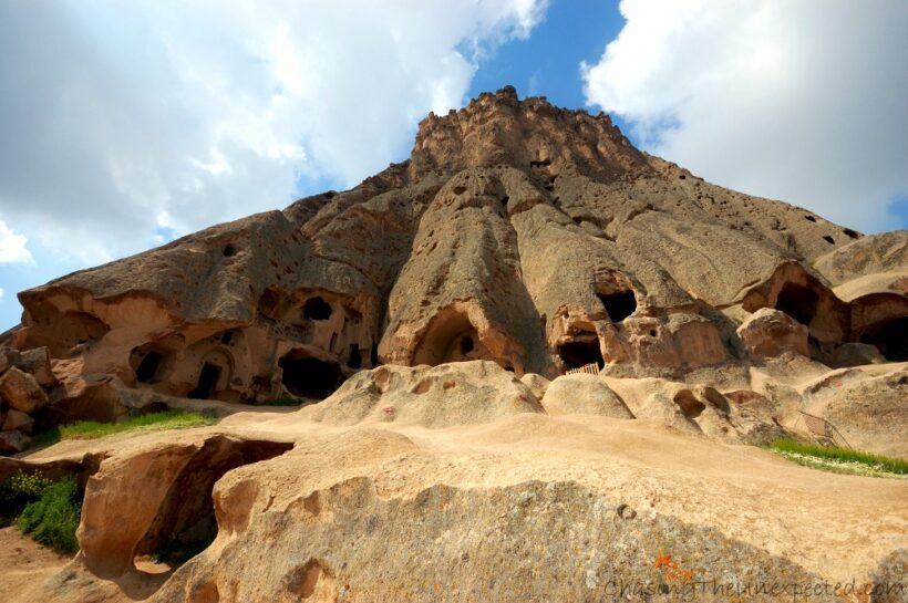 selime9