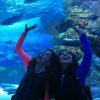 antalya-aquarium-with-a-short-city-tour-and-visit-to-lara-waterfall-in-alanya-211791