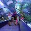 antalya-city-tour-with-duden-waterfall-and-antalya-aquarium-visit-in-belek-329317