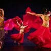 Cappadocia Turkish Night Show with Dinner