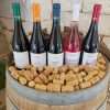 Cappadocia Winery Tour