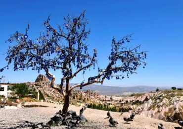 Cappadocia Pigeon Valley